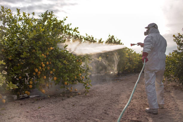 Best Termite Control Services  in Bannockburn, IL