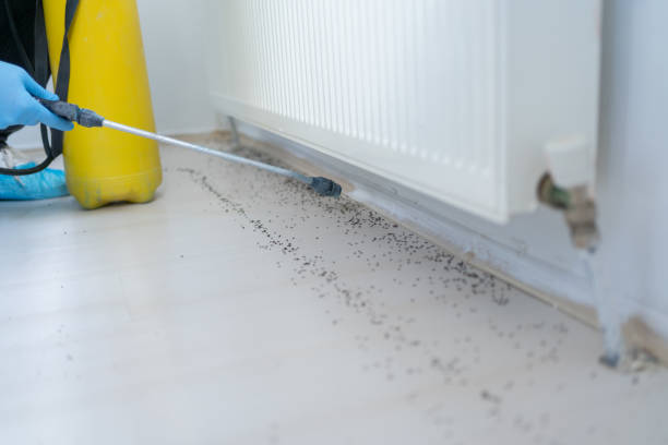 Best Pest Prevention Services  in Bannockburn, IL