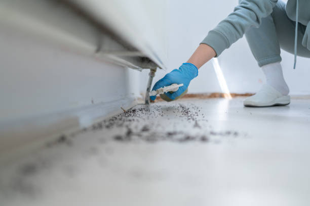 Best Bed Bug Extermination  in Bannockburn, IL