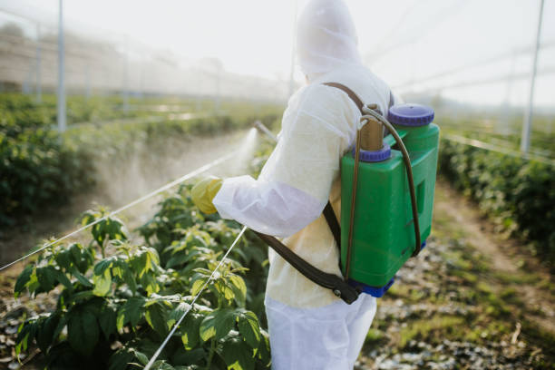 Best Pest Control Near Me in Bannockburn, IL